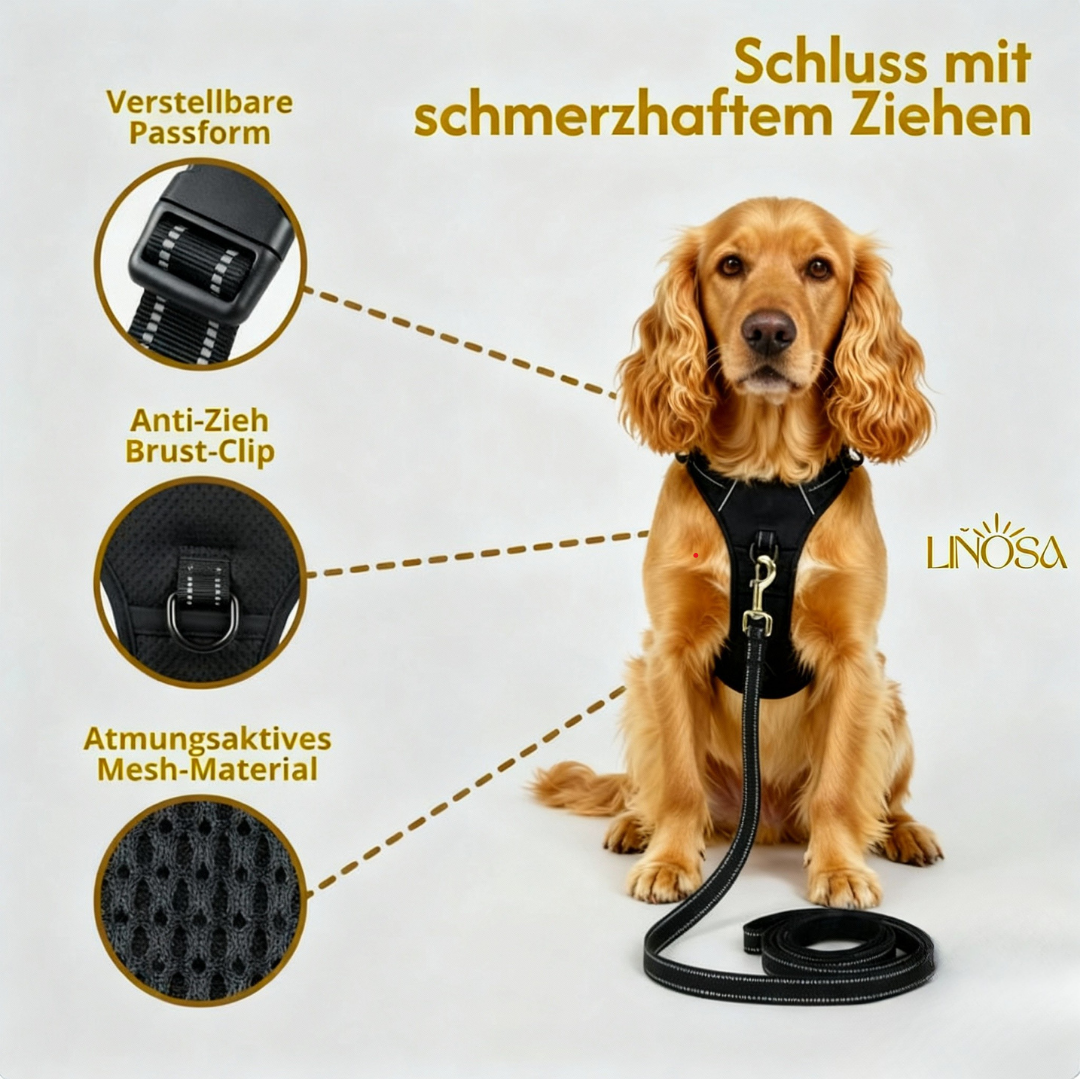 PfotenSanft™ Entlastungs- & Anti-Zieh-Geschirr