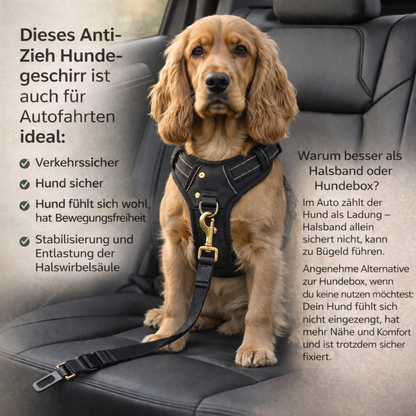 PfotenSanft™ Entlastungs- & Anti-Zieh-Geschirr