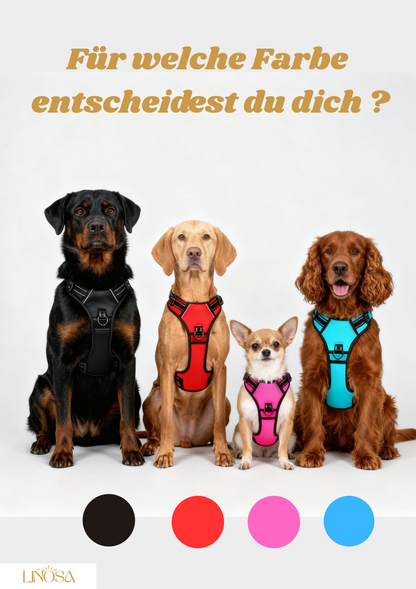 PfotenSanft™ Entlastungs- & Anti-Zieh-Geschirr