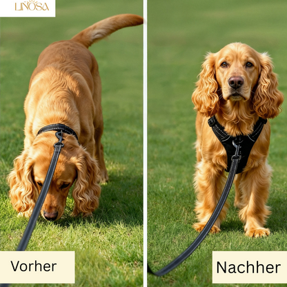 PfotenSanft™ Entlastungs- & Anti-Zieh-Geschirr